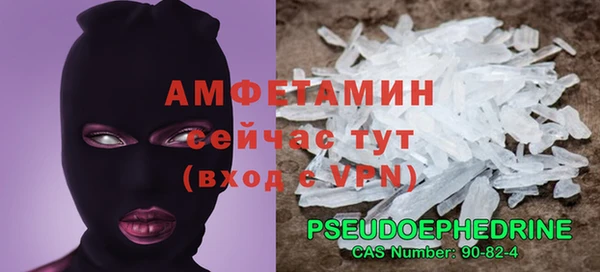 мдпв Бородино