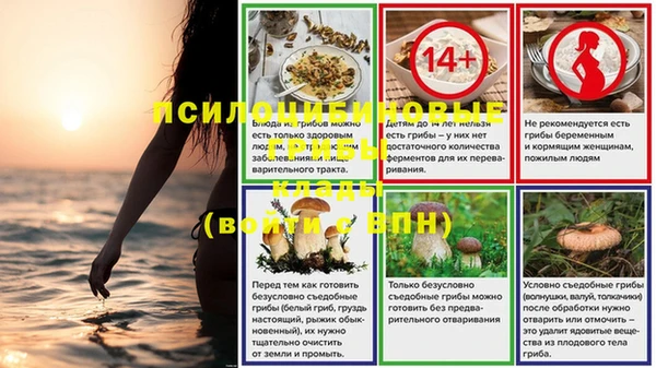 мдпв Бородино