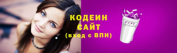 мдпв Бородино