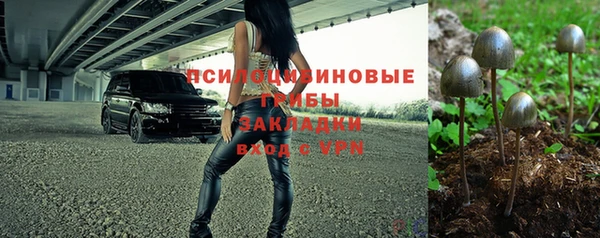 ALPHA PVP Богданович