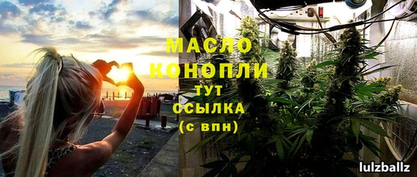 мдпв Бородино