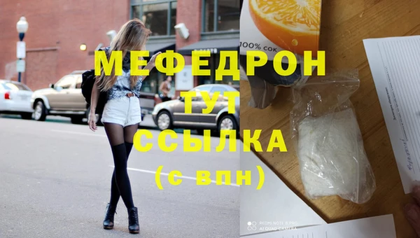 мдпв Бородино
