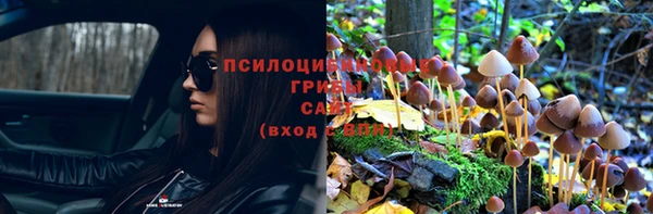 мдпв Бородино
