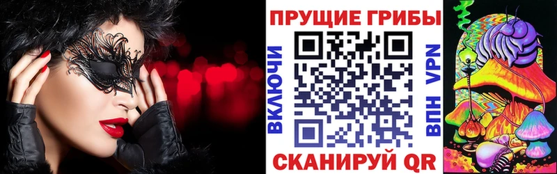 Купить закладки  Новосокольники  Галлюциногенные грибы ЛСД 