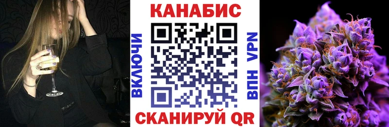 Купить закладки Новосокольники Конопля план